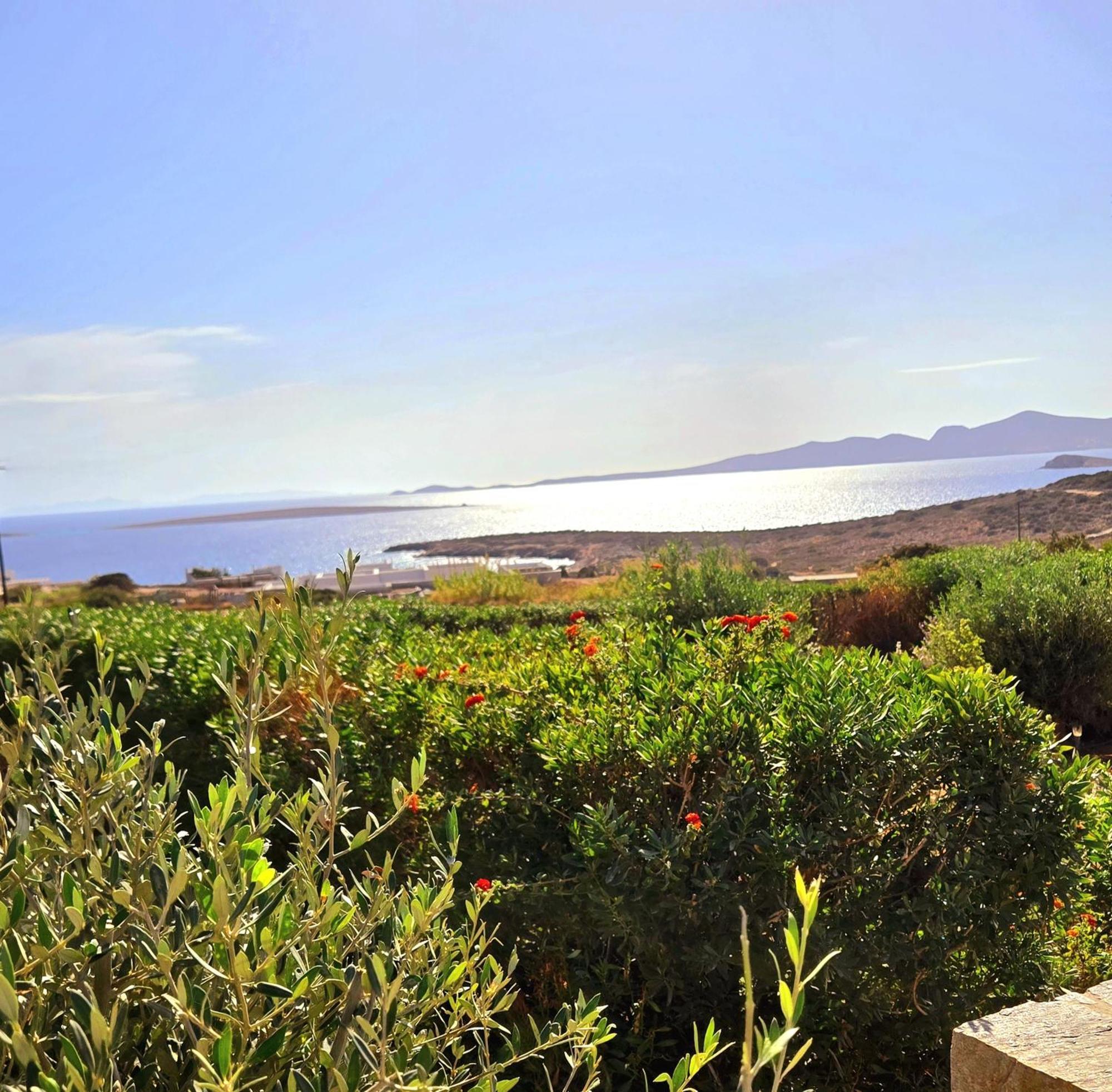 Paros Afrodite Luxury Villas Alikí エクステリア 写真